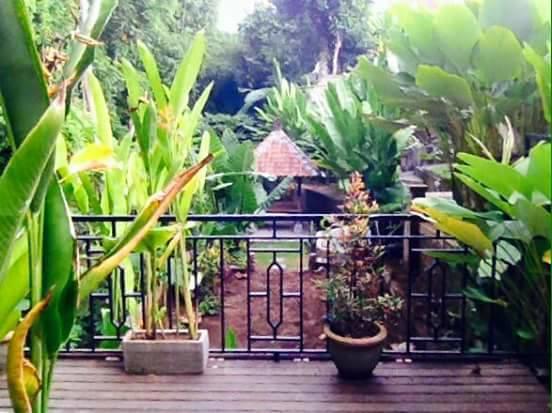 Kerta Family Bed And Breakfast Убуд Екстер'єр фото